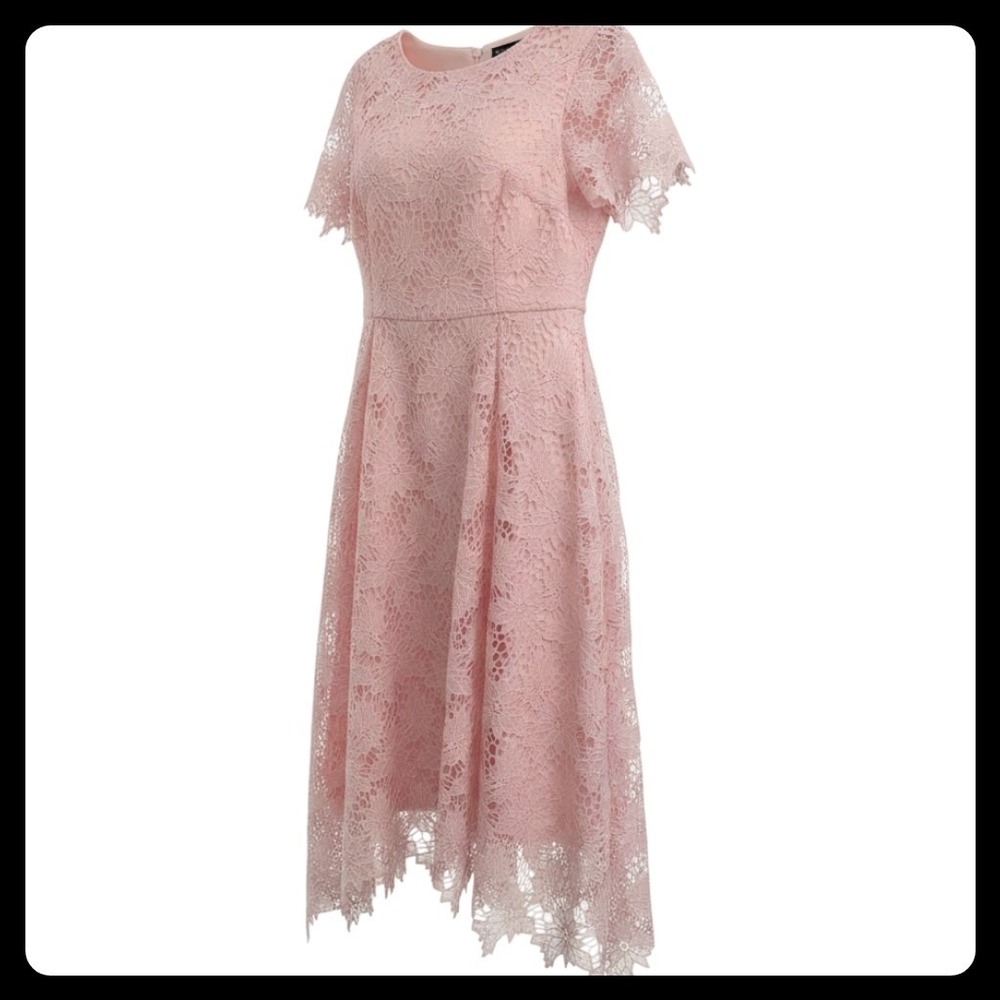 Preston & York Lace Dress Womens 16 Pink Floral Short Sleeve Fit & Flare Party